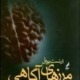 مرزهای آگاهی